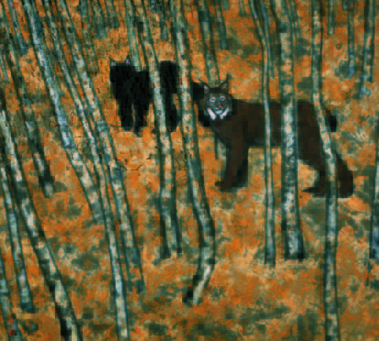 《不再回首》曾迎春 《不再回首》曾迎春