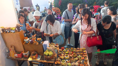 以花搭臺 共謀發展 第十七屆昆明國際花卉展成功舉辦 第十七屆昆明國際花卉展成功舉辦(圖2)