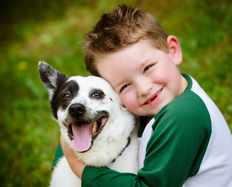 英國MAG寵物醫院專供關節生首次亮相亞洲寵物展(圖1)