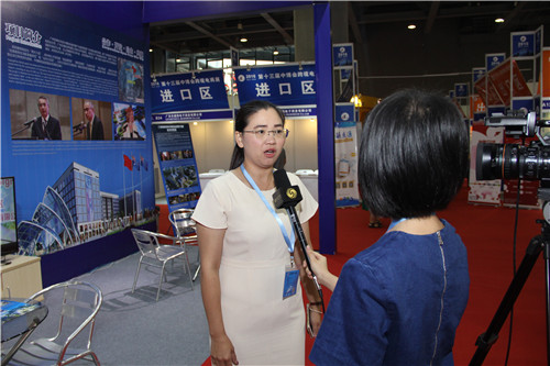 第十三屆中博會跨境電商展盛大開幕(圖8)