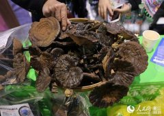 第9屆義烏森博會首設(shè)國家精準扶貧展區(qū)