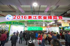 看展覽、嘗美食、囤年貨 2016浙江農(nóng)博會
